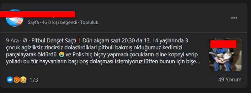 TÜRKİYEDE ‘YASAKLI IRK’ DOSYASI! - 12