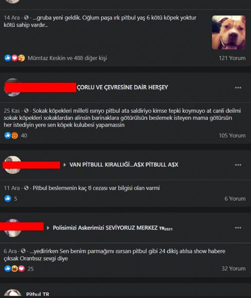 TÜRKİYEDE ‘YASAKLI IRK’ DOSYASI! - 13