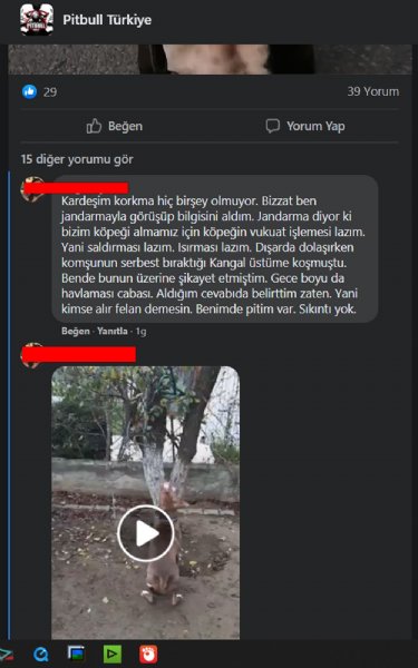 TÜRKİYEDE ‘YASAKLI IRK’ DOSYASI! - 17