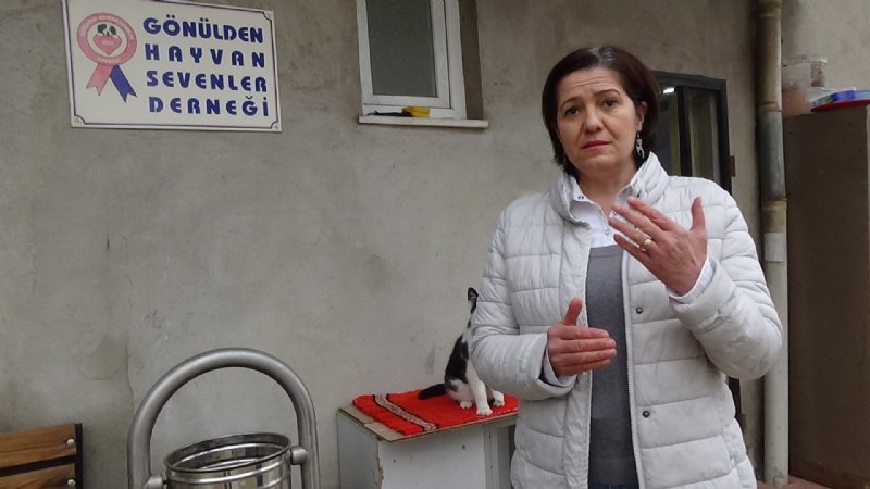 TÜRKİYEDE ‘YASAKLI IRK’ DOSYASI! - 3