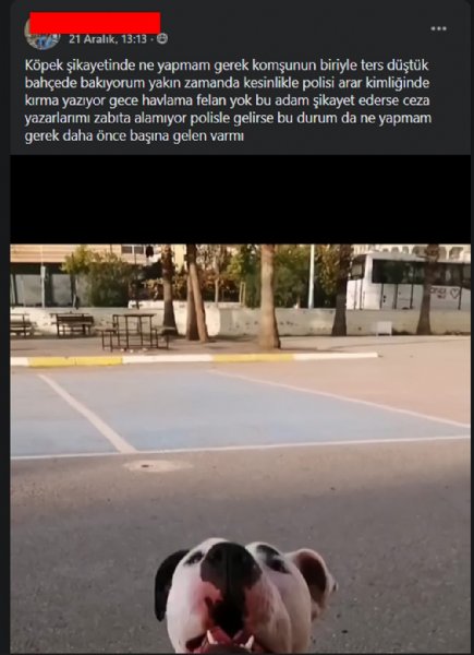 TÜRKİYEDE ‘YASAKLI IRK’ DOSYASI! - 5