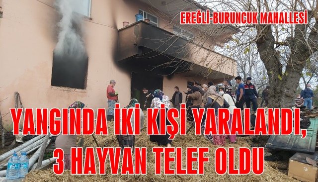 YANGINDA İKİ KİŞİ YARALANDI, 3 HAYVAN TELEF OLDU