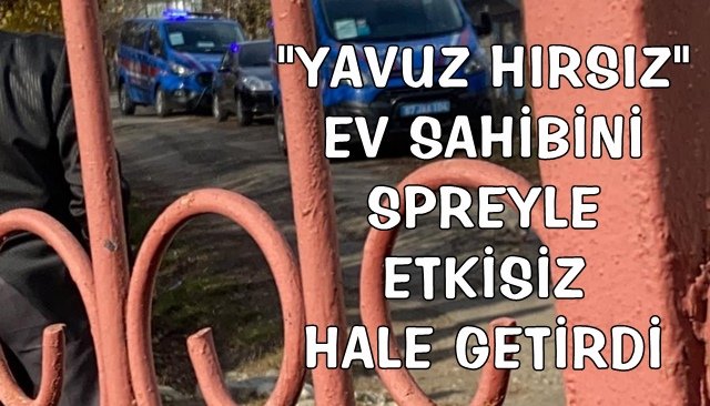 ´´YAVUZ HIRSIZ´´ EV SAHİBİNİ SPREYLE ETKİSİZ HALE GETİRDİ