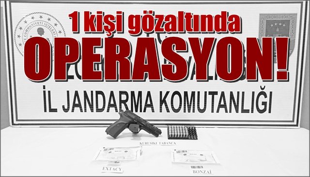 Jandarmadan operasyon! 1 Gözaltı