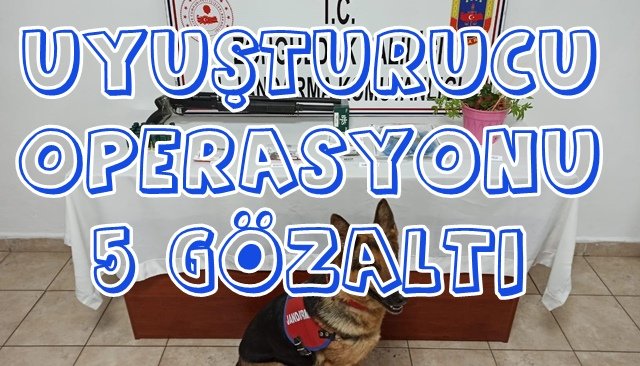 Uyuşturucu operasyonu: 5 gözaltı