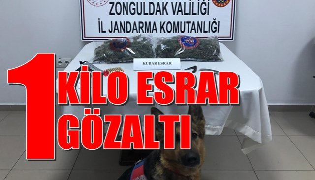 Zonguldak’ta 1 kilogram esrar ele geçirildi