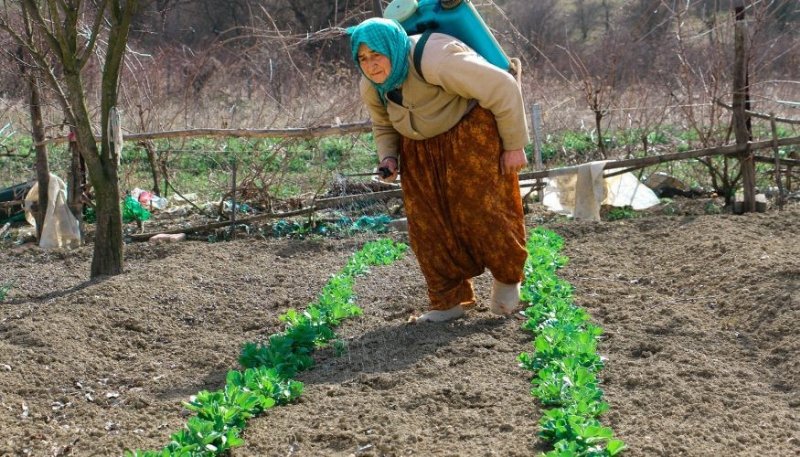 74 yaşındaki Ayşe teyze... - 1