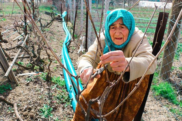 74 yaşındaki Ayşe teyze... - 3