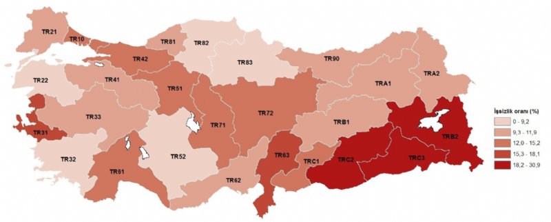 CAN SİMİDİ HİZMET SEKTÖRÜ! - 3