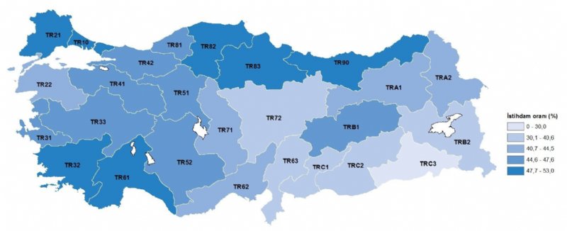 CAN SİMİDİ HİZMET SEKTÖRÜ! - 1
