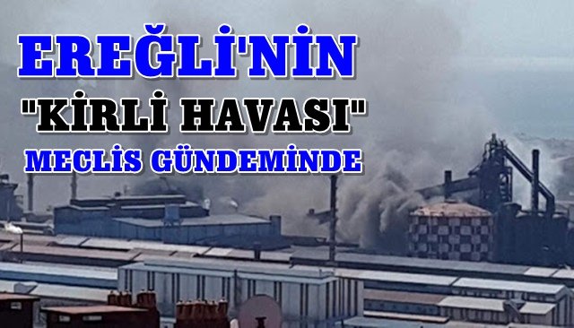 Demirtaş, “Kirli havayı, TBMM gündemine taşıdı”