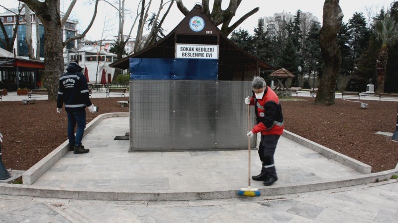 Ereğli belediyesi sokak hayvanlarını unutmuyor - 1