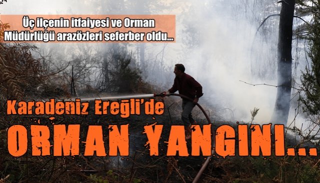 Ereğli´de orman yangını...