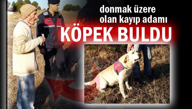  Kaybolan kişiyi iz takip köpeği buldu