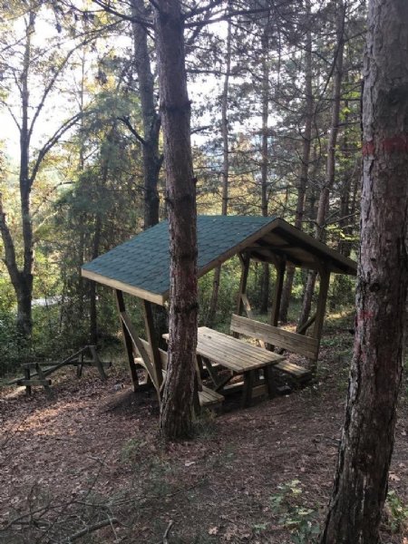 Tabiat parklarına virüs engeli - 1