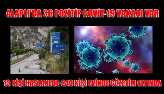 ALAPLI´DA POZİTİF VAKA SAYISI ARTIYOR