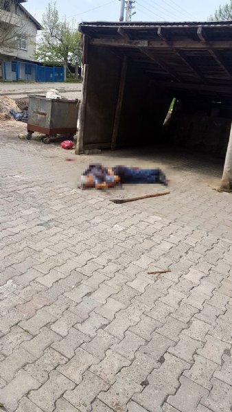 Arazi kavgası kanlı bitti: 1 ölü, 2 yaralı - 1