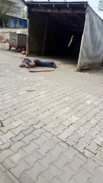 Arazi kavgası kanlı bitti: 1 ölü, 2 yaralı - 2