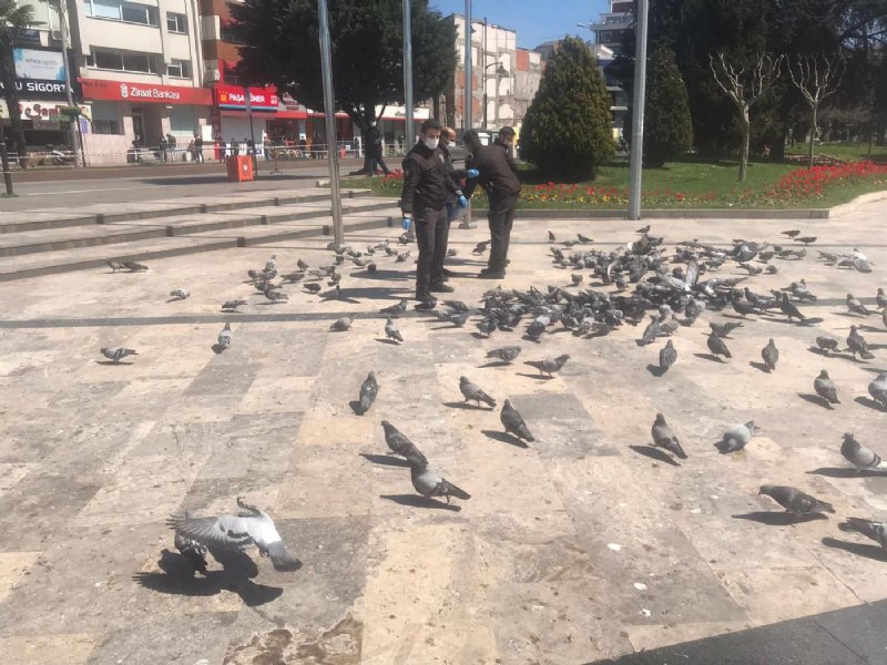 GECE BEKÇİLER GÜNDÜZ MELEK! - 1