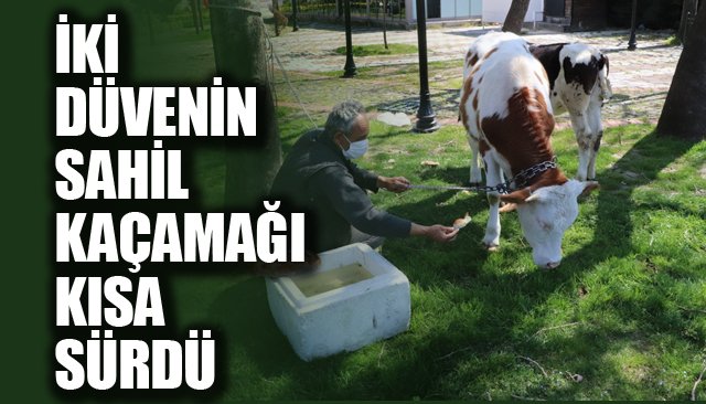 İKİ DÜVENİN SAHİL KAÇAMAĞI KISA SÜRDÜ