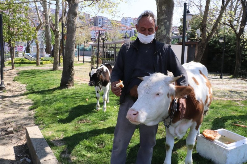 İKİ DÜVENİN SAHİL KAÇAMAĞI KISA SÜRDÜ - 3