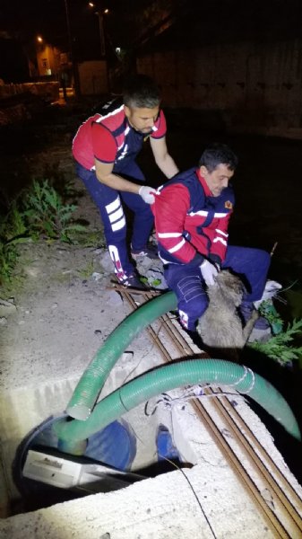 Saatlerce suyun içinde kaldı... İKİ İTFAİYE ERİ KURTARDI - 1