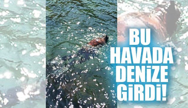 Soğuk hava ve koronaya aldırış etmeden denize girdi