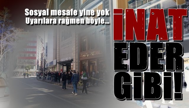 Uyarılara rağmen... İnat eder gibi...