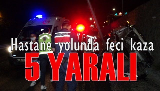 Arı sokan arkadaşlarını hastaneye yetiştirirken hastanelik oldular