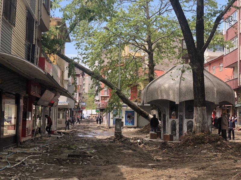 Çınar ağacı binanın üzerine yıkıldı - 4