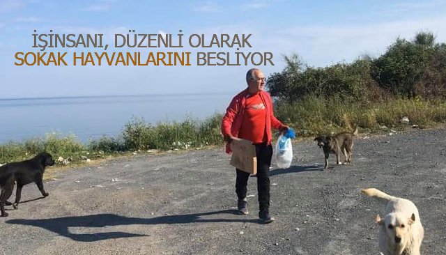 İŞİNSANI, DÜZENLİ OLARAK SOKAK HAYVANLARINI BESLİYOR