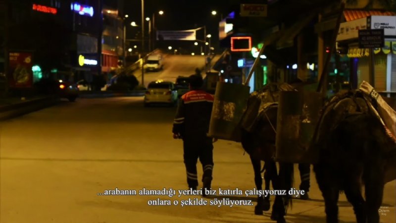 Merdivenli şehrin, emektar katırları... Belgesel oldular... - 4