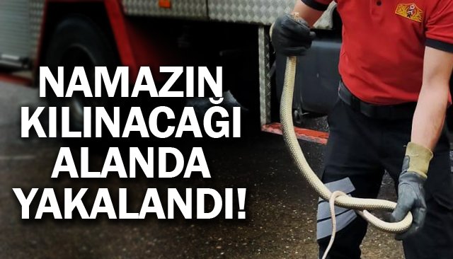 NAMAZIN KILINACAĞI ALANDA YAKALANDI