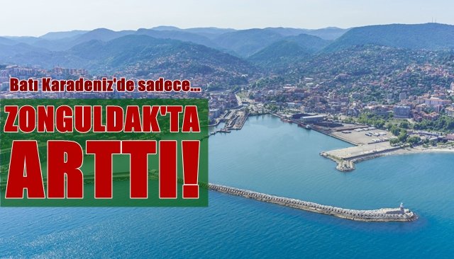 Sadece Zonguldak’ta arttı