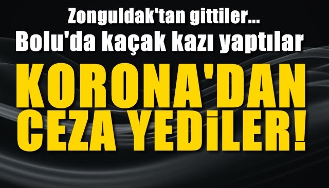 Zonguldak’tan çıktılar, Bolu’da kaçak kazı yaptılar... KORONA’DAN CEZA YEDİLER