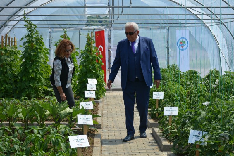 12 Çeşit ata tohumu üretip halka dağıtılacak - 2