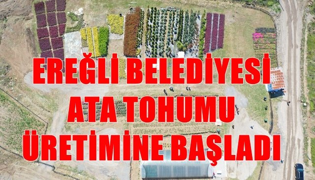 12 Çeşit ata tohumu üretip halka dağıtılacak