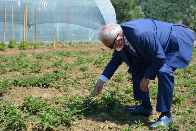 12 Çeşit ata tohumu üretip halka dağıtılacak - 9