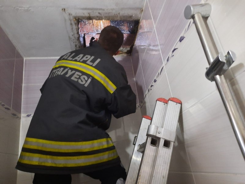 Bir aydır banyo boşluğunda kalıyorlardı - 3
