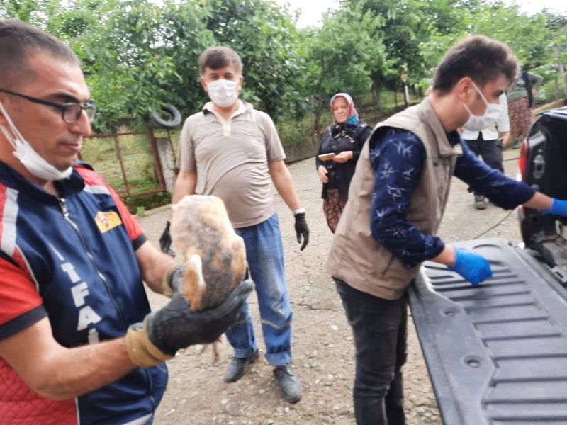 Bir aydır banyo boşluğunda kalıyorlardı - 4