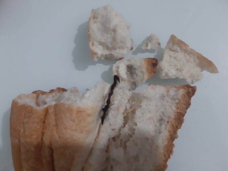 Ekmeğin içinden çıkanlar mide bulandırdı - 1