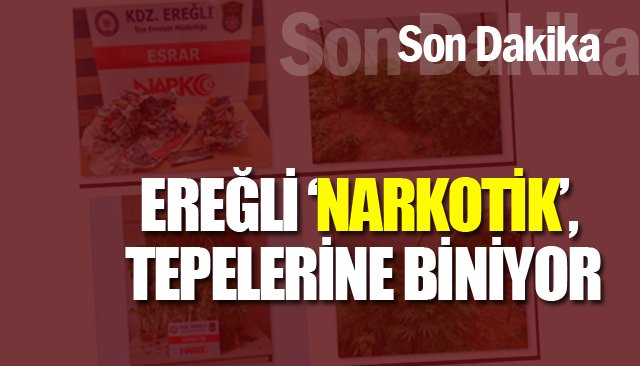 EREĞLİ ‘NARKOTİK’, TEPELERİNE BİNİYOR!