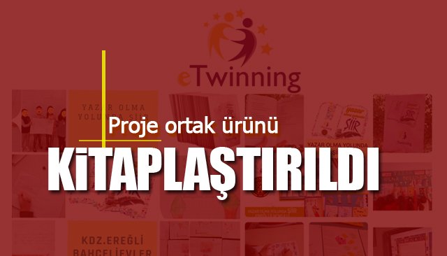 ETwinning eylemi