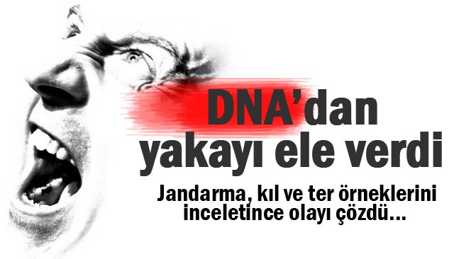  Jandarma hırsızlık zanlısını DNA´sından tespit etti