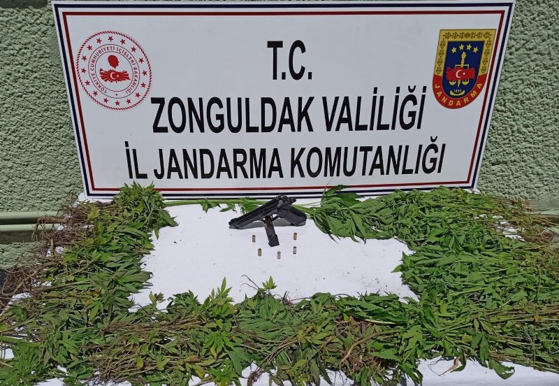 Jandarmadan uyuşturucu operasyonu: 1 gözaltı  - 1