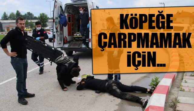 Köpeğe çarpmamak için...