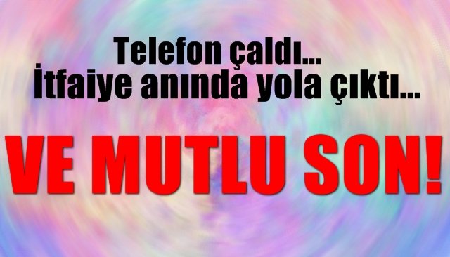 Telefon çaldı… İtfaiye anında yola çıktı… VE MUTLU SON