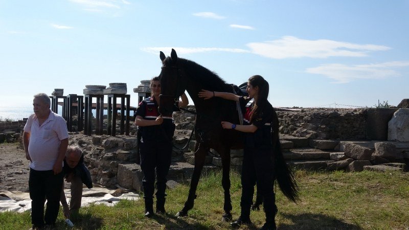 Zonguldak´ta atlı jandarma timi görevine başladı - 4