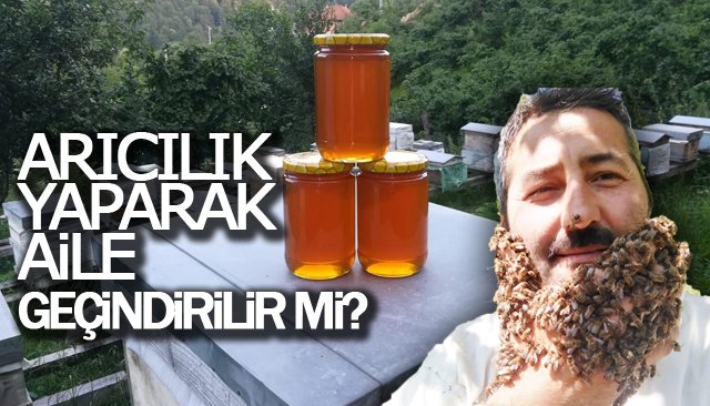 ARICILIK YAPARAK AİLE GEÇİNDİREBİLİR Mİ?