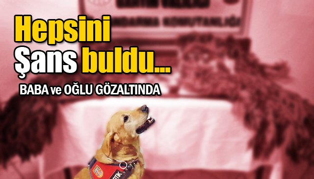 Baba ve oğlu gözaltına alındı 